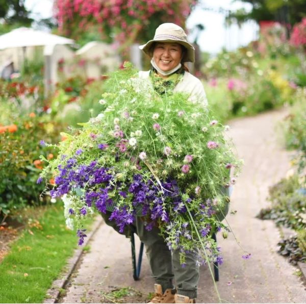 令和５年度：バラ園の存続をかけクラウドファンディング活用で事業再構築(花植屋草色)
